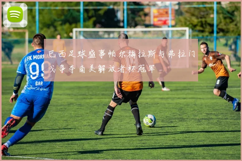 巴西足球盛事帕尔梅拉斯与弗拉门戈争夺南美解放者杯冠军
