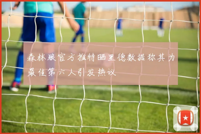 森林狼官方推特晒里德数据称其为最佳第六人引发热议