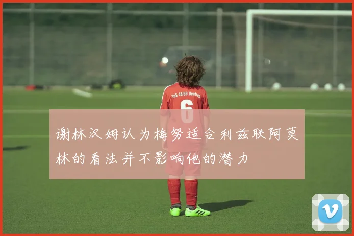 谢林汉姆认为梅努适合利兹联阿莫林的看法并不影响他的潜力