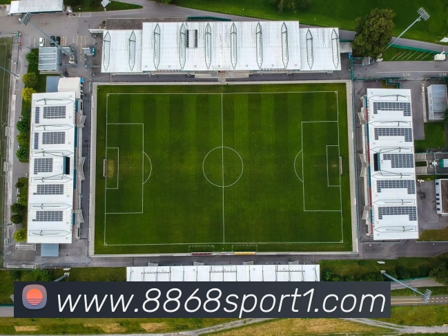 8868体育发展历程